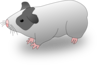 Guinea Pig Clip Art